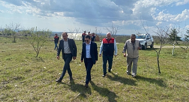 Kofçaz’da Zirai Don Zararına Yerinde İnceleme