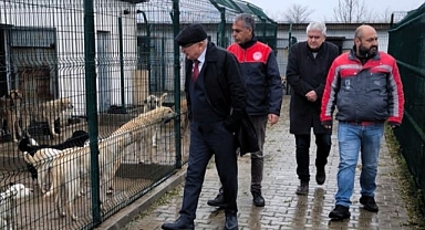 Lüleburgaz Hayvan Barınağı’na Denetim Ziyareti