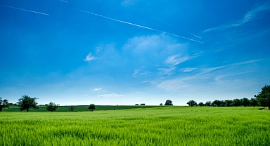 Nisan Ayı Tarım Takvimi: Seradan Ahıra, Tarımda Yoğun Mesai
