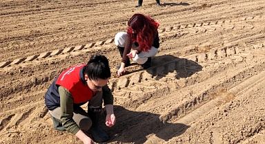 Pehlivanköy’de Ballıkız Kabak Çeşidi Toprakla Buluştu