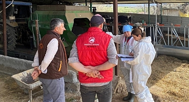 Pınarhisar'da Ari Hayvancılık İşletmesinde Ortak Denetim Yapıldı