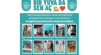 Süleymanpaşa Belediyesinden Anlamlı Çağrı