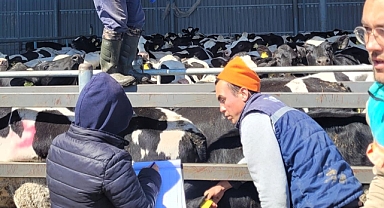 Tarım Müdürlüğü, Kırklareli’nde Hayvancılık Denetimlerini Sıkılaştırdı