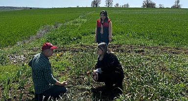 Vize’de Soğanlı Süs Bitkileri Üretimine Teknik Destek