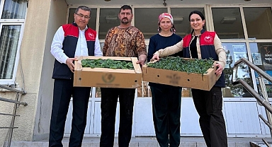 Vize ve Pehlivanköy'de Üreticiye Fide Desteği