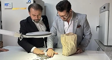 Yerli ve milli hibrit ayçiçeği tohumunda yeni versiyon tescillendi