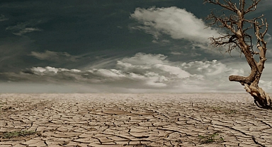 15 Mayıs Dünya İklim Günü: Gezegenimizin Geleceği İçin Harekete Geçme Zamanı