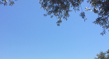 Açık Havanın Keyfini Çıkarın