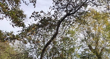 Babaeski’de Gökgürültülü Sağanak Yağış Uyarısı: Vatandaşlar Dikkatli Olmalı