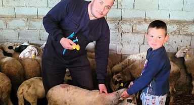 Babaeski’de Küçükbaş Hayvanlara Rutin Aşılama