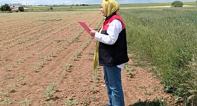 Babaeski’de Referans Parsel Kontrolleri Sürüyor