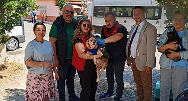 Babaeski’de Sahipli Kedi ve Köpeklere Kuduz Aşısı ve Mikroçip Uygulaması