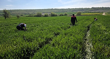Babaeski’de Süne Kıymetlendirme Survey Çalışmaları Başladı