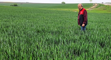 Babaeski’de Tarımsal Gözlem ve Survey Çalışmaları Devam Ediyor