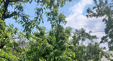 Babaeski’de Yarın Güneşli ve Ilık Bir Hava Bekleniyor