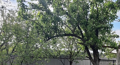 Babaeski’de Yarın Hava Nasıl Olacak?