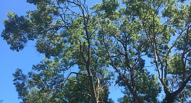 Babaeski’de Yarın Hava Parçalı Bulutlu ve Güneşli Olacak