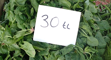 Babaeski Pazarı'nda Bu Haftanın Gözdesi: Ispanak