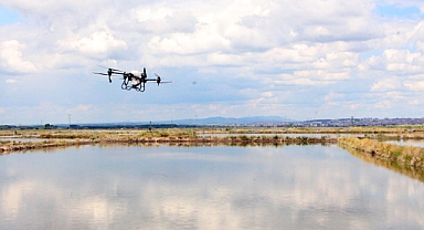 Dronla çeltik ekiyorlar