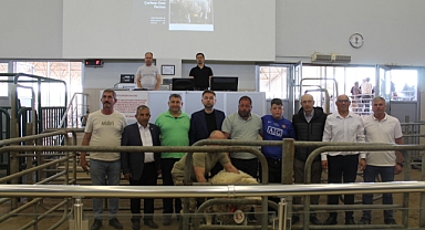 Edirne'de ilk kez 'Koç ve Teke' mezatı yapıldı