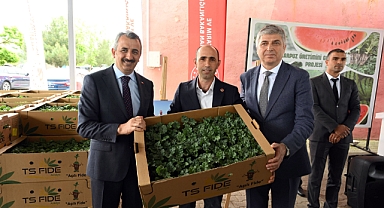 Edirne'de üreticilere, 66 bin karpuz fidesi dağıtıldı