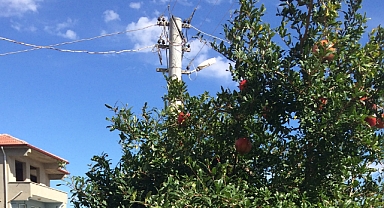 Güneşli Hava Babaeski’yi Isıtacak
