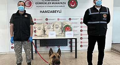 Hamzabeyli'de 50 kilo uyuşturucuyu ‘Bodri’ buldu