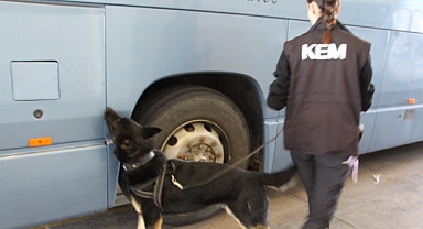 Kapıkule'de otobüsteki 77 kilo uyuşturucu hapı Neptun buldu