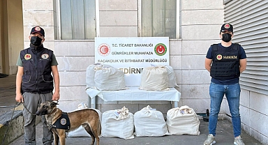 Kapıkule’de otobüsteki 87 kilo uyuşturucuyu Jeff buldu; 3 tutuklama