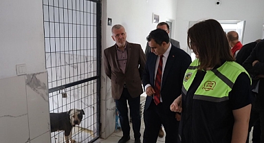 Kaymakam Balaban’dan Sokak Hayvanlarına Yakın İlgi