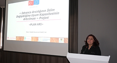 Kırklareli TSO'dan Arıcılık Sektörüne İklim Değişikliği Direnci