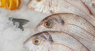 Mayıs Ayında Hangi Balıklar Yenilmeli?