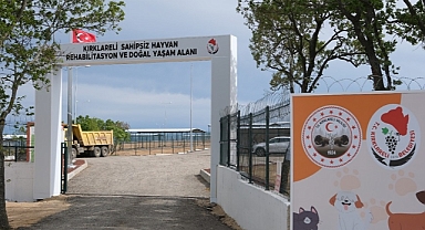 Sahipsiz Hayvanlar İçin Örnek Rehabilitasyon Projesi Hayata Geçiyor