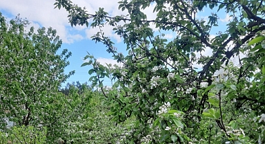 Sıcaklıklar 30 Dereceye Kadar Yükselecek