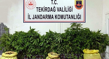 Tekirdağ'da uyuşturucu operasyonlarında 7 gözaltı