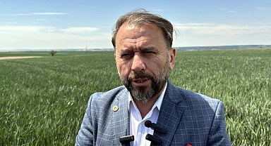 'Yağmur yağmazsa Trakya'da tarihin en büyük kuraklığı yaşanacak'