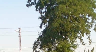 Babaeski’de Güneşli Hava Tüm Gün Etkili Olacak