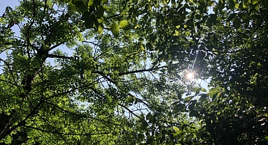 Babaeski'de Güneşli ve Sıcak Bir Gün Bekleniyor