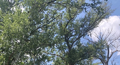 Babaeski’de Yarın Hava Nasıl Olacak? İşte 19 Haziran 2025 Hava Durumu Detayları