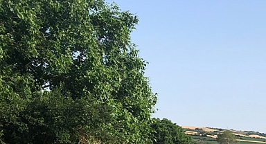 Babaeski’de Yarın Hava Nasıl Olacak? İşte Detaylar!