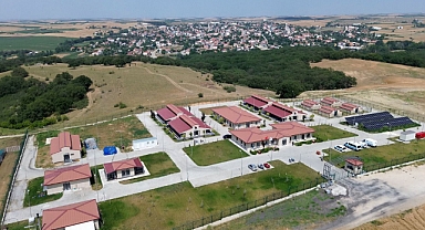 BÜYÜKŞEHİR SAHİPSİZ HAYVANLARA UMUT OLUYOR