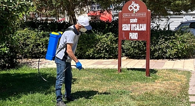 Çorlu Belediyesinden Keneyle Mücadele Çalışmaları