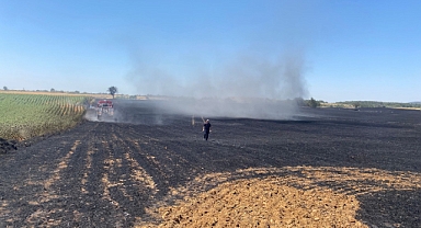 Edirne'de 40 dönüm buğday tarlası yandı