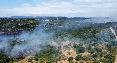 Edirne'deki orman yangını 20,5 saat sonra kontrol altına alındı