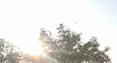 Güneşli Bir Gün Kapıda