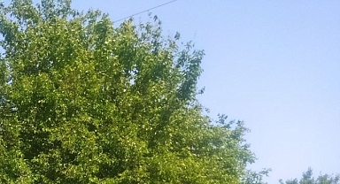 Güneşli Hava Etkisini Sürdürecek