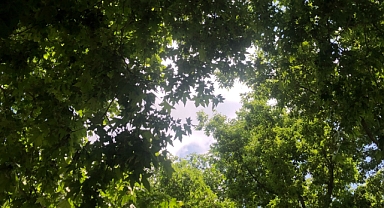 Günün En Yüksek Sıcaklığı 34 Dereceye Ulaşacak