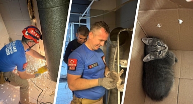 Havalandırma Boşluğuna Sıkışan Yavru Kediyi Çorlu AKE Kurtardı