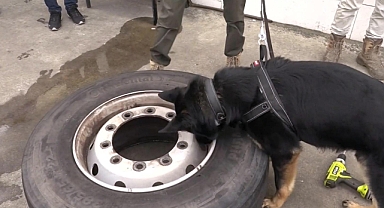 Kapıkule'de 2 TIR’da toplam 212 kilo esrar ele geçirildi