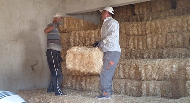 Karamesutlu Köyü’nde Çiftçilerin Balya Mesaisi Başladı